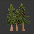 Realistic Two Green Pine Trees With Brown Trunks On Dark Background