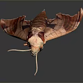 Brown Moth With Extended Antennae And Open Wings On Gray Reflective Surface 3d model