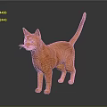 Orange Cat Standing Alert With Shiny Fur On Dark Reflective Floor 3d model