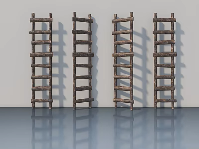Four Wooden Flush Doors Leaning Against Wall With Reflective Floor Surface 3d model