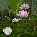 Lotus water lily scene 3d model