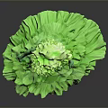 Green Artistic Woman With Flower Like Head And Leafy Layered Dress Design