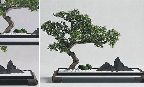 New Chinese Potted Pine Bonsai Pine Bonsai Lohan Pine Landscape Tree Rockery Pine White Rock Pine 3d model