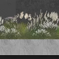 Lush Herbaceous Plants in White Rectangular Planter with Gray Wall and Circular Patterns