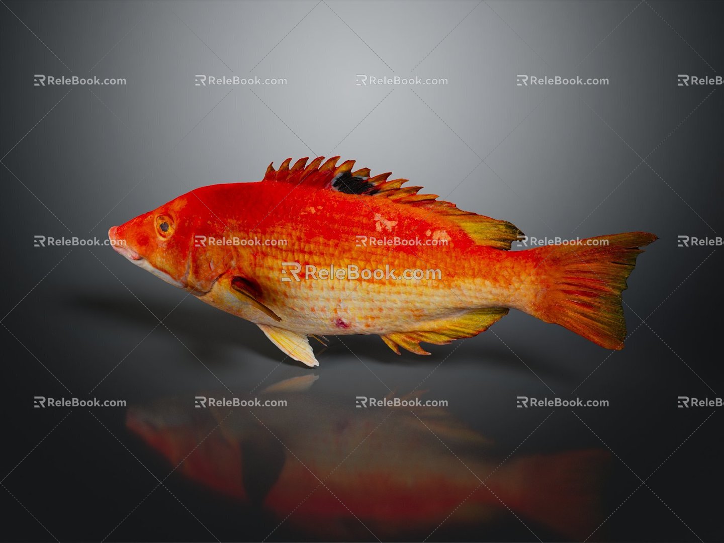 Modern Catfish Catfish Carp Sturgeon 3d model