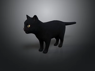 Realistic Style Black Cat Black Cat Domestic Cat Pet Animal Biological Furry Feline 3d model