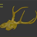 Detailed Deer Skull with Golden Antlers on Dark Background Decorative Art