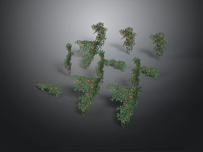 Vine Plants With Green Leaves And Red Small Fruits In Multiple Poses 3d model