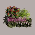 Colorful Plant Combination with Flowering Plants Ferns and Green Foliage for Garden Landscaping