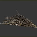 Natural Forest Floor Pile of Twigs and Tree Roots with Soil and Moss