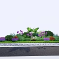 Vibrant Garden Flowers With Purple Blooms Green Foliage And Shrubs