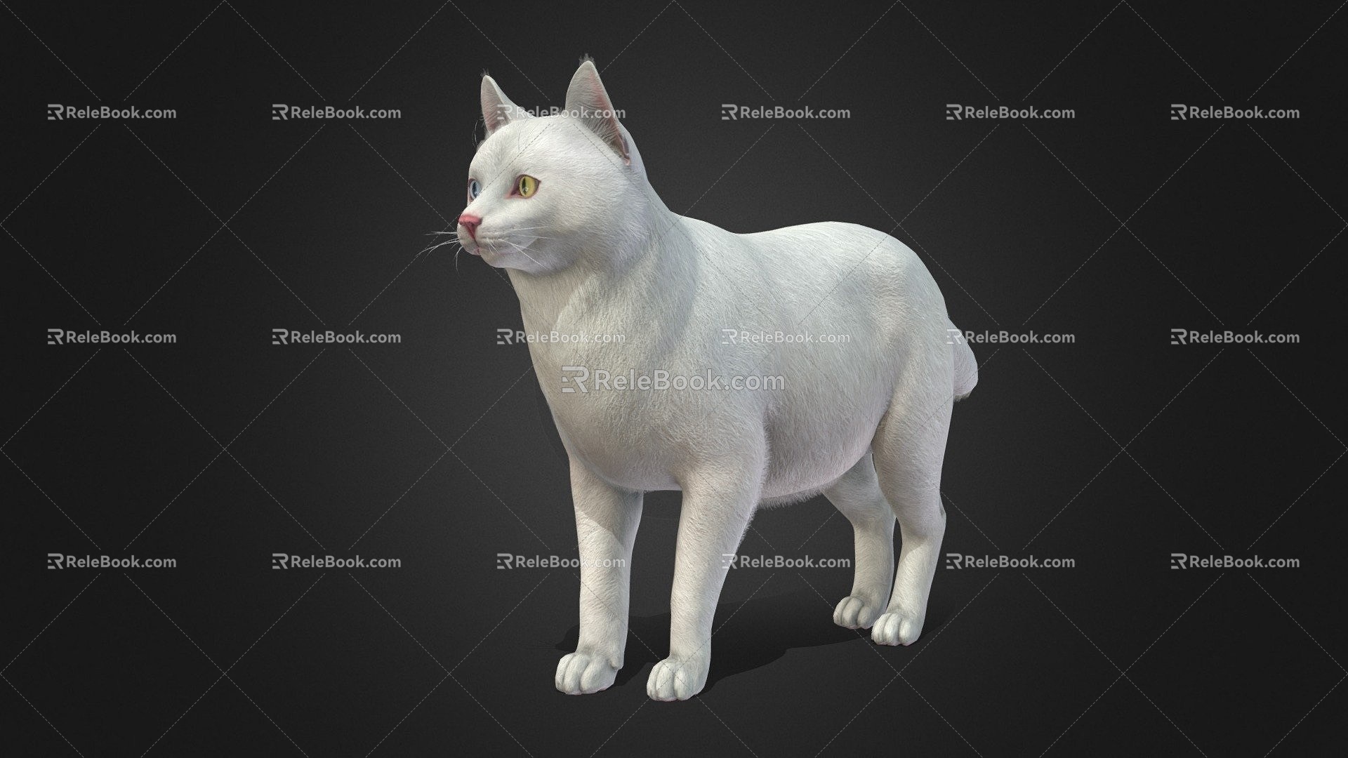 White Cat Cat 3d model