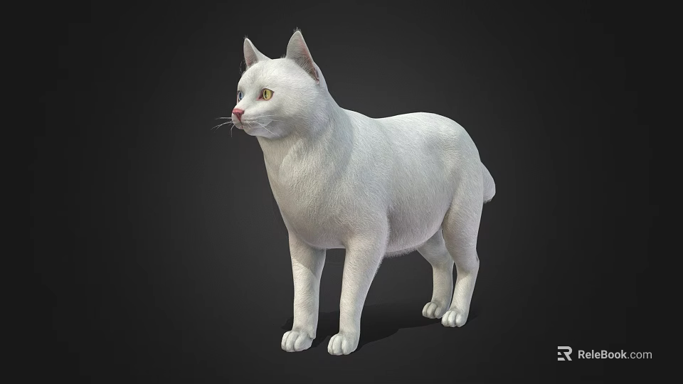 White Cat With Soft Fur Standing Still On Dark Background In Close Up 3d model 