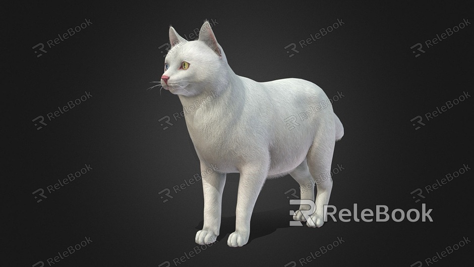 White Cat Cat model