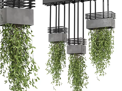 Modern hanging basket hanging plant 3d model