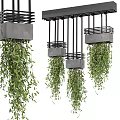 Lush Trailing Green Plants In Modern Hanging Planters For Home Decor