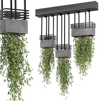 Lush Trailing Green Plants In Modern Hanging Planters For Home Decor 3d model