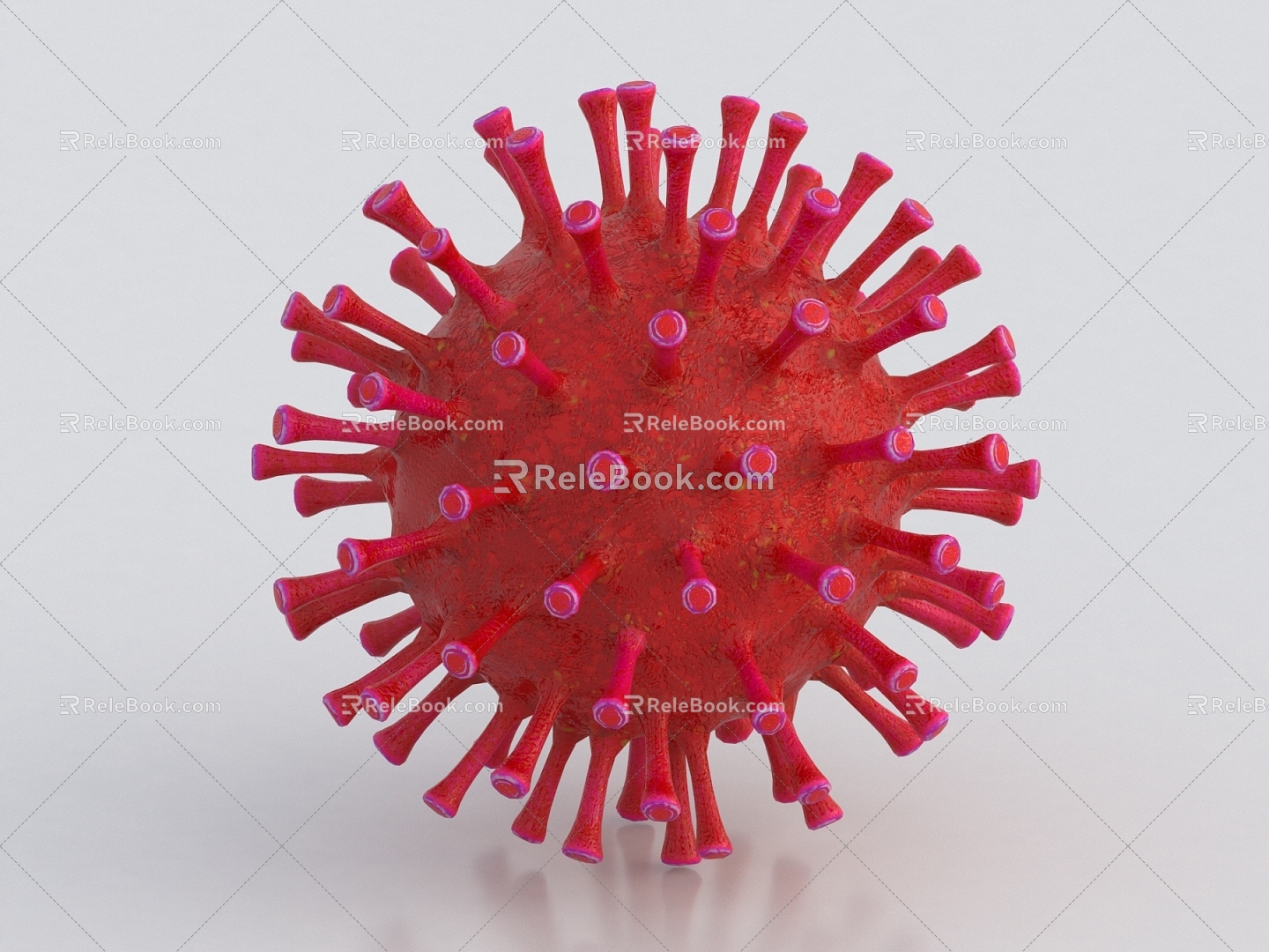 Coronavirus Virus Immune System Cancer Carcinogenesis Bacteria Leukocyte Biology Medical Research 3d model