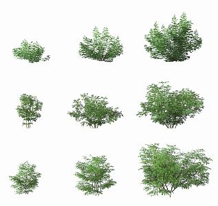 Modern shrubs 3d model