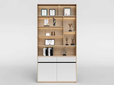 Modern Display Cabinet Shelf With Wooden Frame Trophies Certificates And Books 3d model