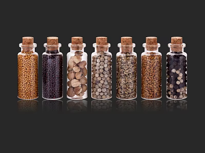 Spice Bottles With Cork Stoppers Containing Various Spices Arranged In Row 3d model