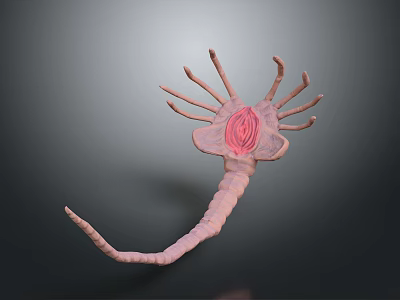 Monster Warrior Alien Monster Alien Monster 3d model