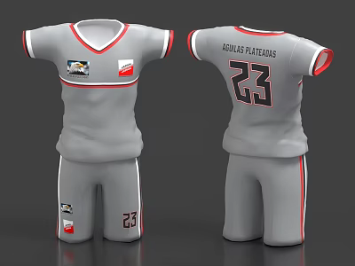 Gray Sports Jersey And Shorts Set With Eagles Patriots Text Number 23 And Badges 3d model