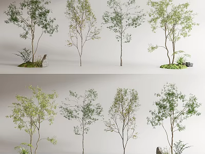 Various Trees with Green Leaves and Small Plants Around Stones in Garden 3d model