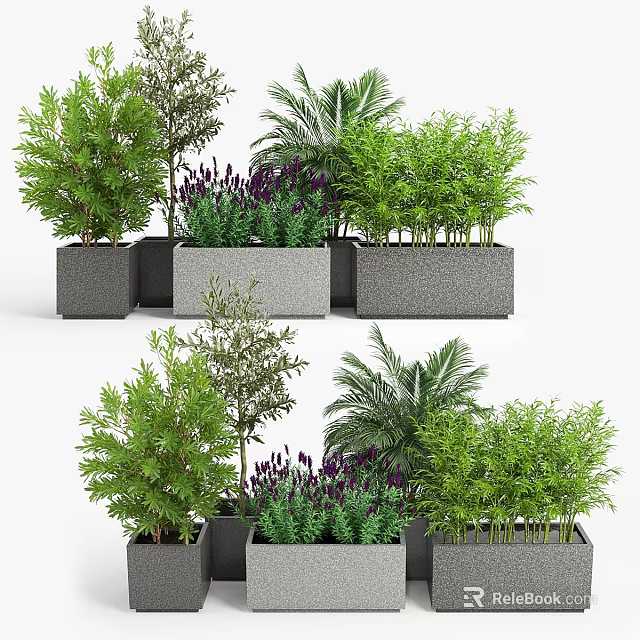 Various Green Plants Decorative Plant Arrangement in Gray Concrete Planters for Indoor Outdoor Decor 3d model 