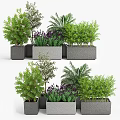 Various Green Plants Decorative Plant Arrangement in Gray Concrete Planters for Indoor Outdoor Decor