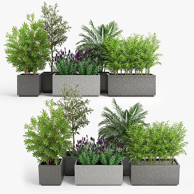 Various Green Plants Decorative Plant Arrangement in Gray Concrete Planters for Indoor Outdoor Decor 3d model