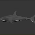 Realistic Gray Shark Model With Dorsal Fin And Open Mouth On Dark Background