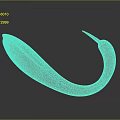 Fresh Red Curved Chili Pepper With Shiny Surface And Natural Shape