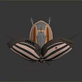 Mechanical Insect With Pink Black Striped Exoskeleton Orange Body And Mechanical Legs