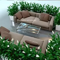 Lush Potted Plants With Green Leaves And White Flowers In White Pots And Wicker Chair