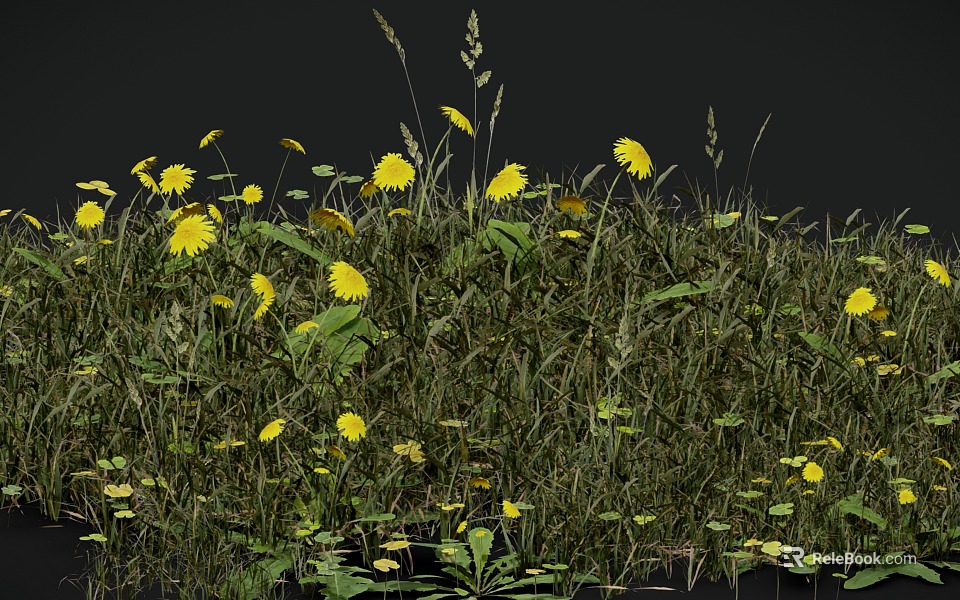 Bright Yellow Wildflowers Thriving In Green Grass With Tall Stems And Fresh Leaves 3d model 
