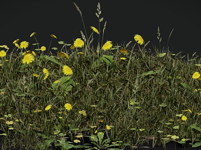 flowers and grass bushes combined plants 3d model