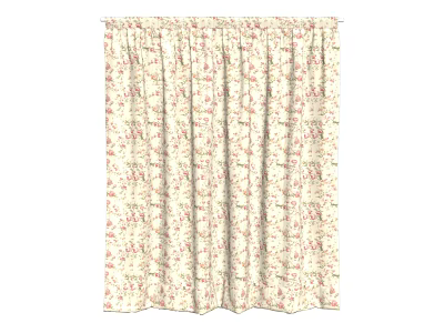 Modern Curtains 3d model