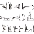 Comprehensive Collection of Fitness Equipment Featuring Various Gym Workout Machines and Tools