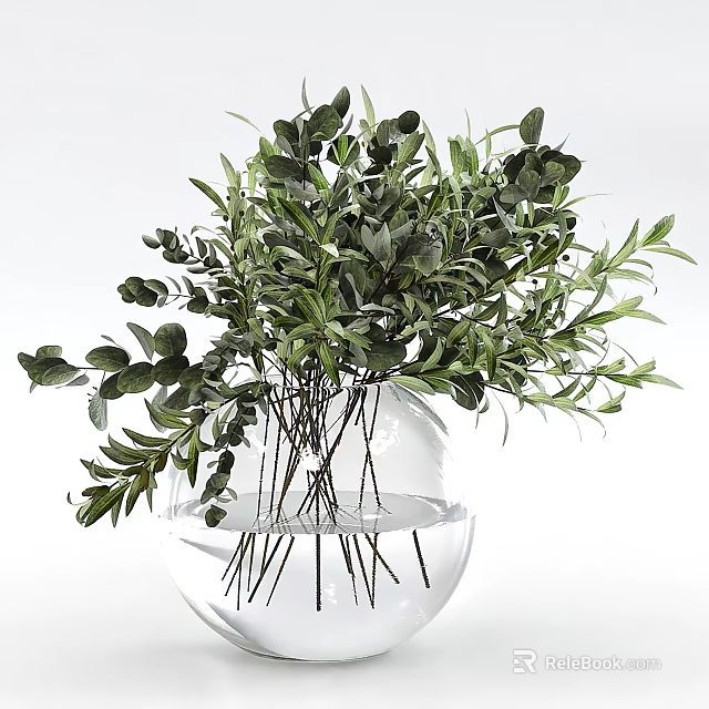 Transparent Glass Vase With Fresh Green Foliage And Submerged Stems In Clear Water 3d model 