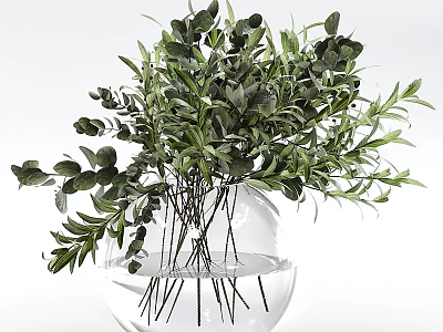 Transparent Glass Vase With Fresh Green Foliage And Submerged Stems In Clear Water 3d model
