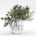Transparent Glass Vase With Fresh Green Foliage And Submerged Stems In Clear Water