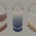 Macramé Wall Decor with Circular Hoop Frame and Gradient Tassels in Three Colors 3d model