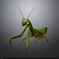 Green Praying Mantis With Yellow Legs And Green Wings On Dark Background