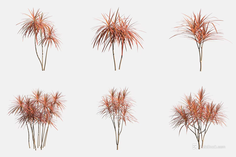 Red Leaf Ornamental Trees with Slender Foliage for Garden Decoration 3d model 