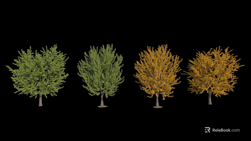 Various Seasonal Arbor Types With Green And Yellow Foliage Through Growth Stages 3d model 
