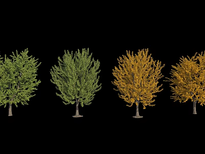 Various Seasonal Arbor Types With Green And Yellow Foliage Through Growth Stages 3d model