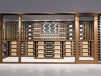 Modern Wine Cellar Wine Shop 3d model