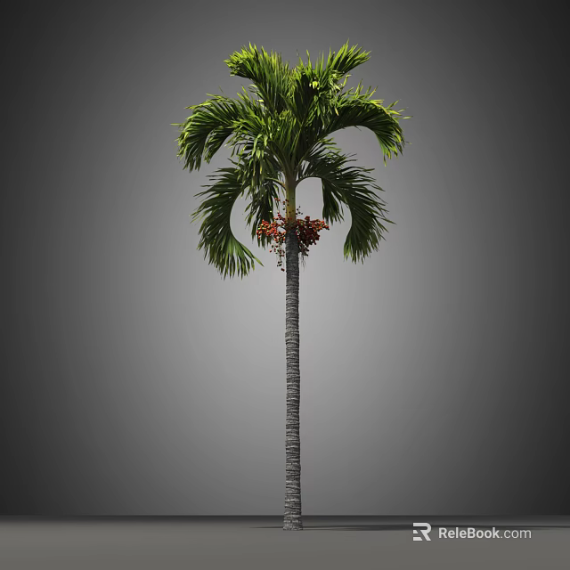 Tall Palm Tree With Green Fronds Slender Trunk And Red Fruits 3d model 