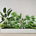 Indoor Potted Plants In Rectangular Concrete Planter With Diverse Green Foliage 3d model